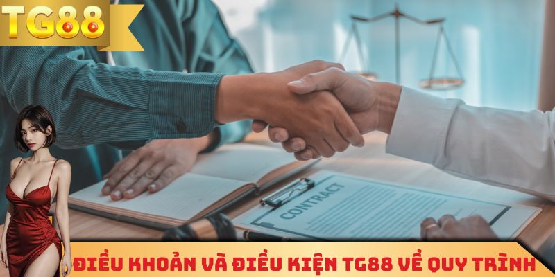 Điều khoản và điều kiện TG88 về quy trình