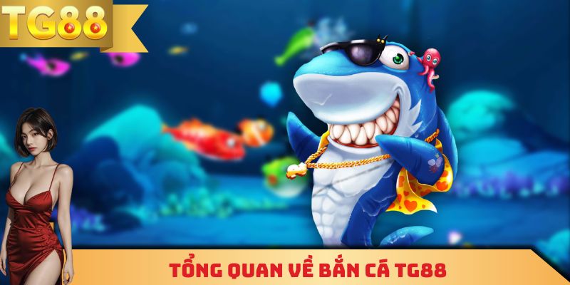 Tổng quan về bắn cá TG88